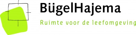 Bugel Hajema Adviseurs bv BNS